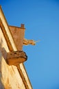 Menorca, Balearic Islands, Spain, gargoyle, cathedral, Ciutadella, church, Saint Mary, architecture, details Royalty Free Stock Photo